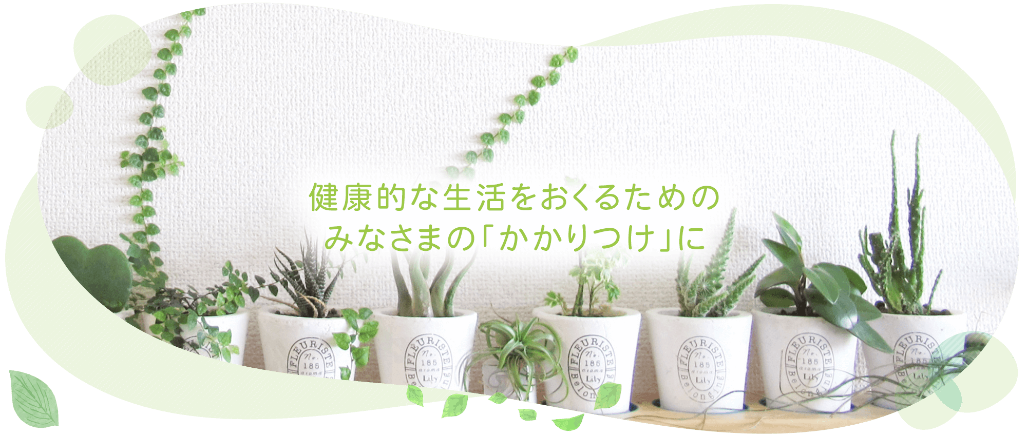 佐久市横和、処方せん調剤、医薬品販売、介護用品等販売